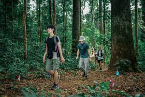 BIB: 
                            <button type="button" onclick="openModal(26133177)" class="btn btn-primary btn-sm float-right btn-popup" data-toggle="modal" data-target=".modal-high-quality">
                        <i class="fas fa-shopping-cart"></i> Add to Cart
                    </button>
                                            <button type="button" onclick="isThisMe(26133177, true)" class="btn btn-success btn-sm float-right btn-popup btn-isme hidden" data-toggle="tooltip" data-placement="bottom" title="นี่คือรูปของคุณใช่ไหม คลิกที่นี่เพื่อเอาเข้าอัลบั้ม">
                        <i class="fas fa-plus"></i> Add to album
                    </button>
                    <button type="button" onclick="isThisMe(26133177, false)" class="btn btn-warning btn-sm float-right btn-popup btn-isnotme hidden">
                        <i class="fas fa-ban"></i> Remove from album
                    </button>